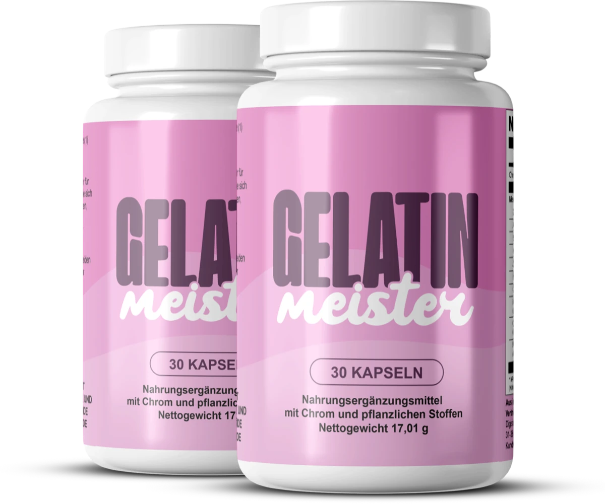 GelatinMeister Produto