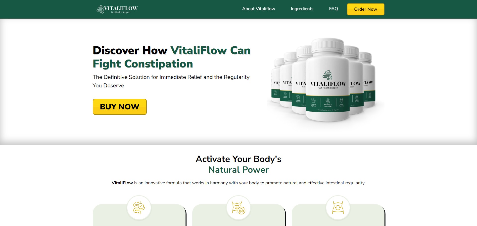 VitaliFlow